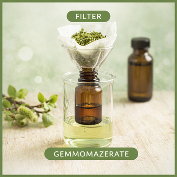 Filter für Gemmomazerate 2 Stk