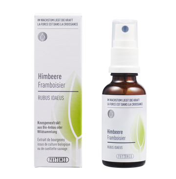 Himbeere – Die Weibliche