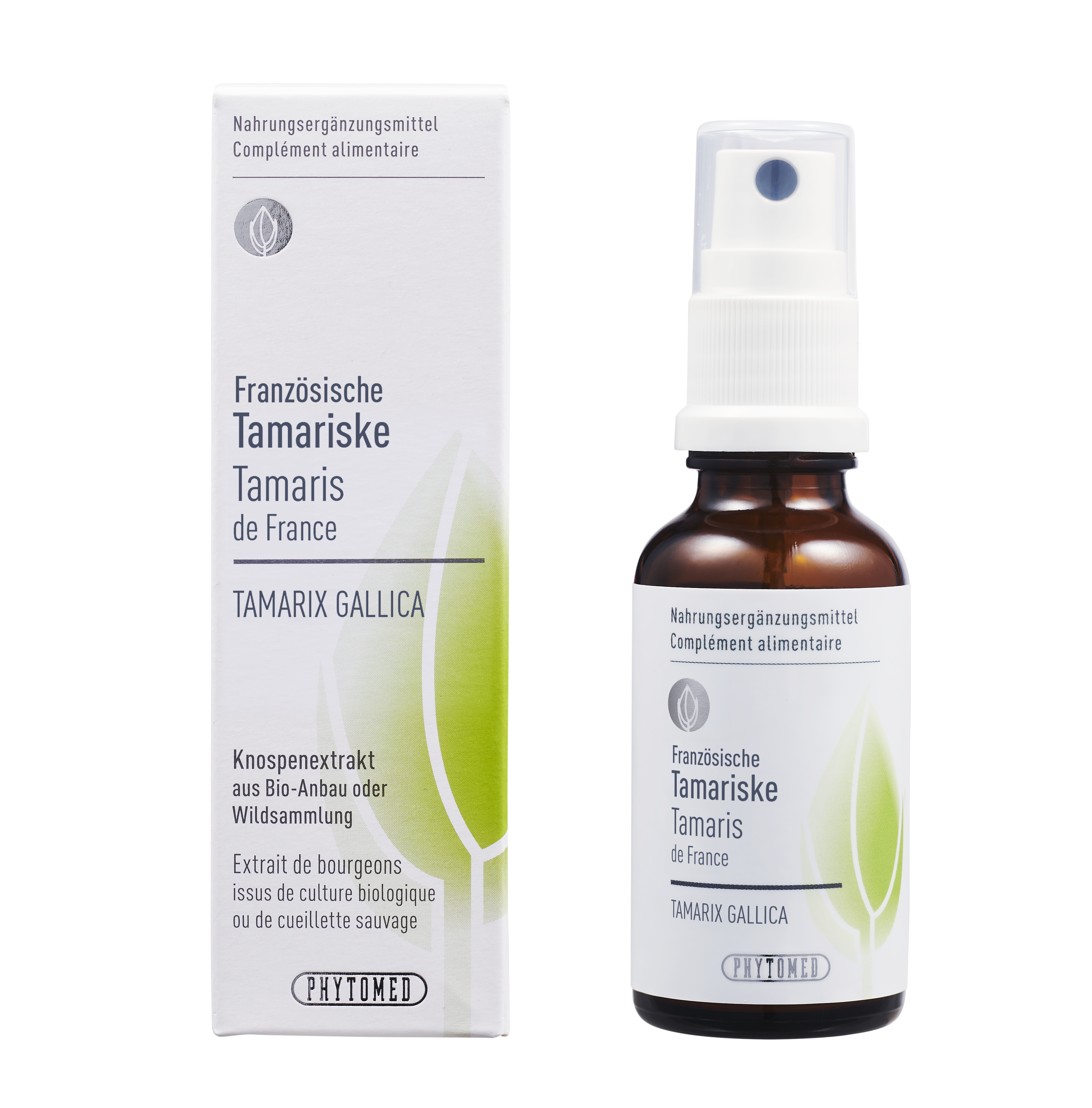 Tamariske – Die Anpassungsfähige