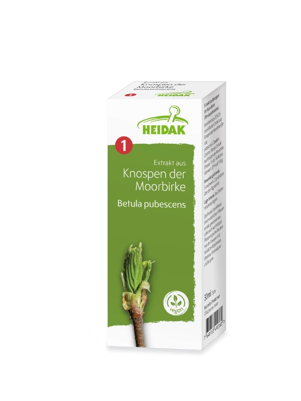 Moorbirke - Betula pubescens – Die Jugendliche