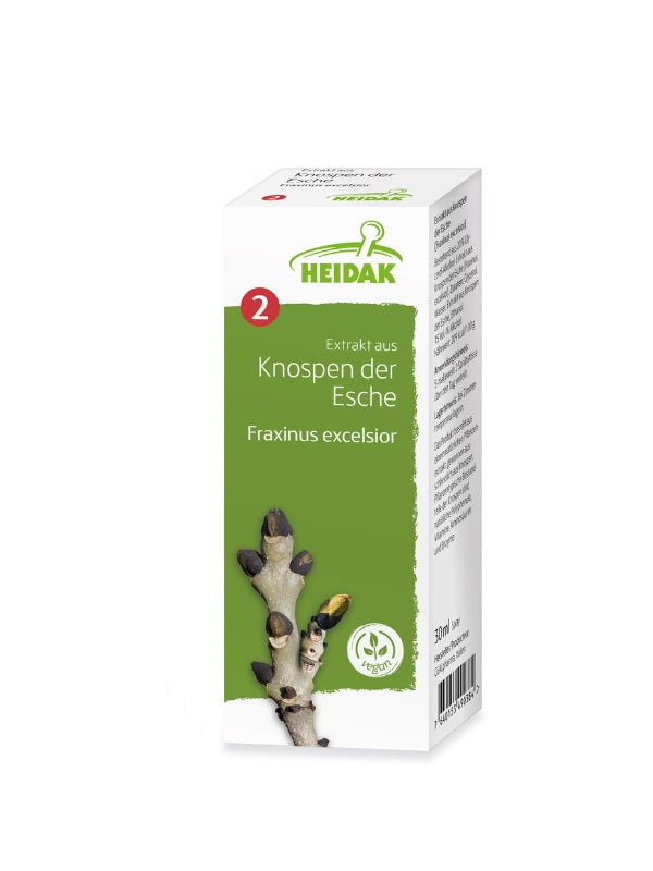 Esche - Fraxinus excelsior – Die Gelenkige