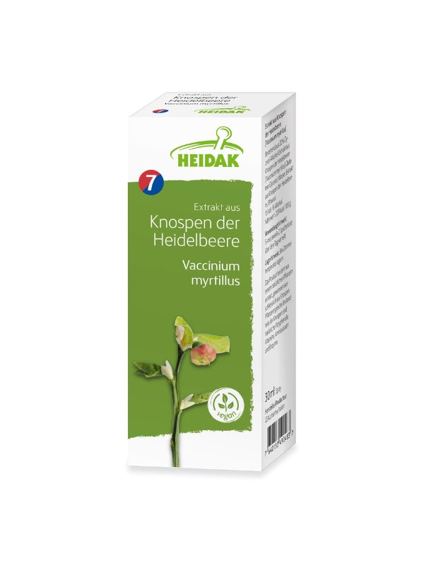 Heidelbeere - Vaccinium myrtillus – Die Fliessende