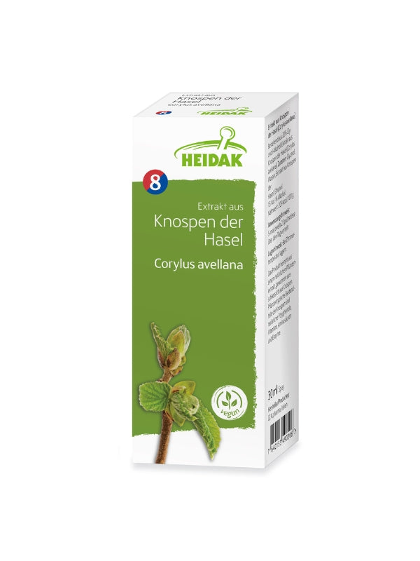Hasel - Corylus avellana – Die Luftige