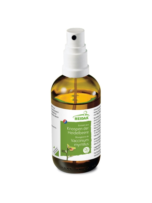 Heidelbeere - Vaccinium myrtillus – Die Fliessende