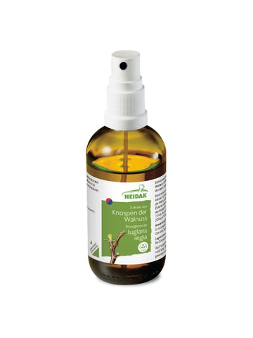 Walnuss  - Juglans regia – Die Abgrenzende