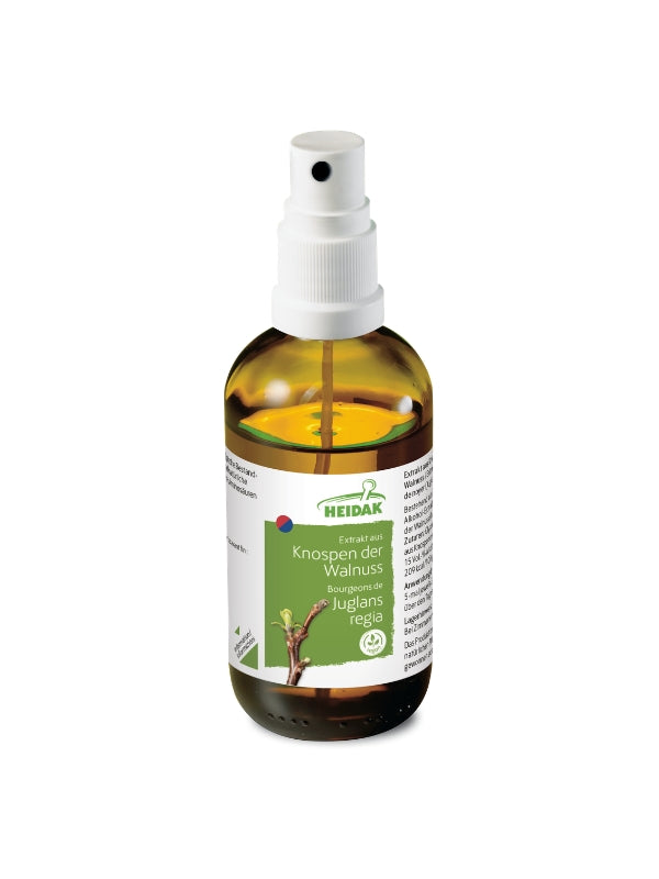 Walnuss  - Juglans regia – Die Abgrenzende